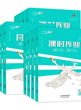 天津专版】一飞冲天课时作业本