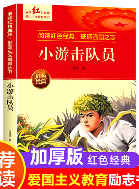 小游击队员 王愿坚著 爱国主义教育革命红色经典书籍小学生课外阅读书籍老师推荐少年励志图书一二三四五六年级上下册课外书必读