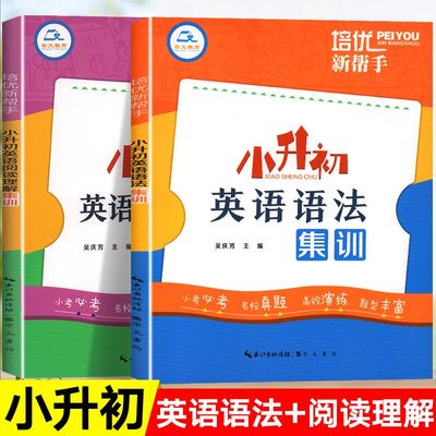小升初英语语法专项训练题小学英语法知识大全 3-6年级系统总复习六年级阅读理解专项强化训练题册人教版练习教材辅导小升初必刷题