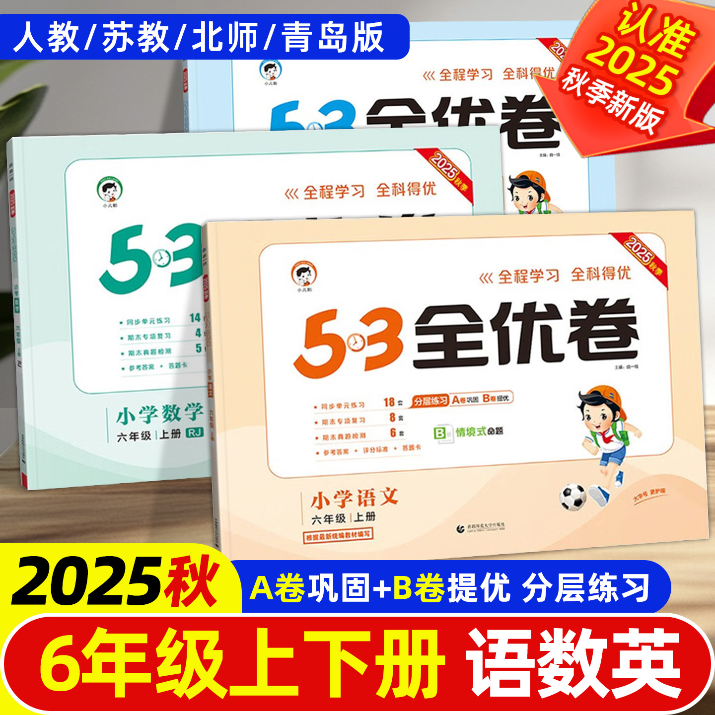 新版53全优六年级上下册