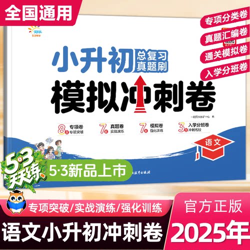 2025小升初总复习语数英