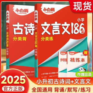 小白鸥星空小升初古诗词252首文言文186篇小学三四五六年级语文人教版 2025版 现货 小学生必背小古文语文练习册同步专项训练 新版