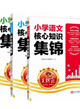 新版现货小学核心知识集锦王朝霞