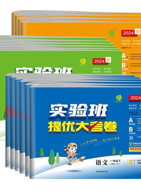 实验班提优大考卷全套