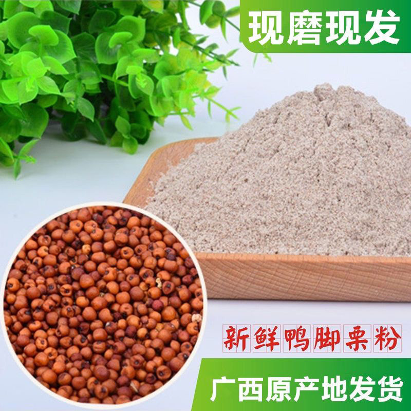 广西粟米粉鸭脚粟粉可以煮粥做米糊土特产五谷杂粮米农家