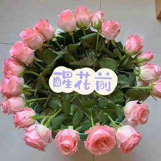 【昆明直批】鲜花基地直发玫瑰花花束香水百合向日葵花材直批家庭