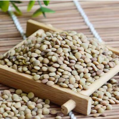 陕北特产小扁豆 农家粗粮山地小扁豆小豌豆滨豆小扁豆子五谷杂粮