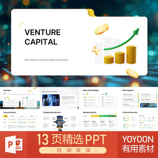 风险投资融资策略资本增长风险生态系统种子资金初创企业PPT模板