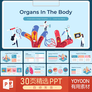 医药科学手术治疗健康研究人体器官身体机能生物研究健康PPT模板