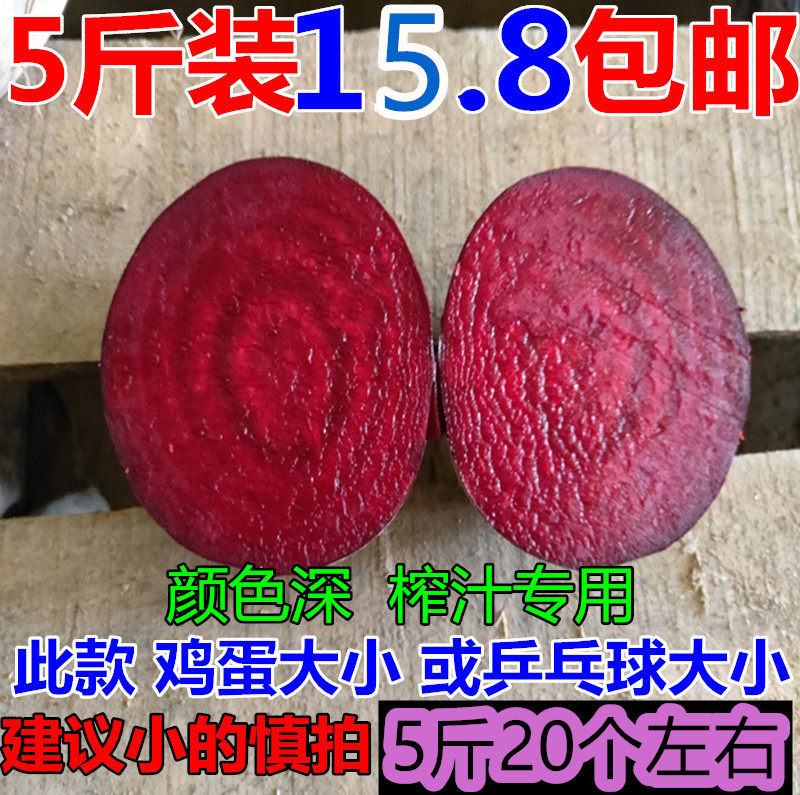 农家自种 甜菜根 新鲜甜菜头 其它