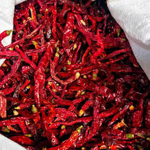 精选皱皮辣椒500g干红辣椒切段去籽二荆条干辣椒皱皮辣子干海椒节