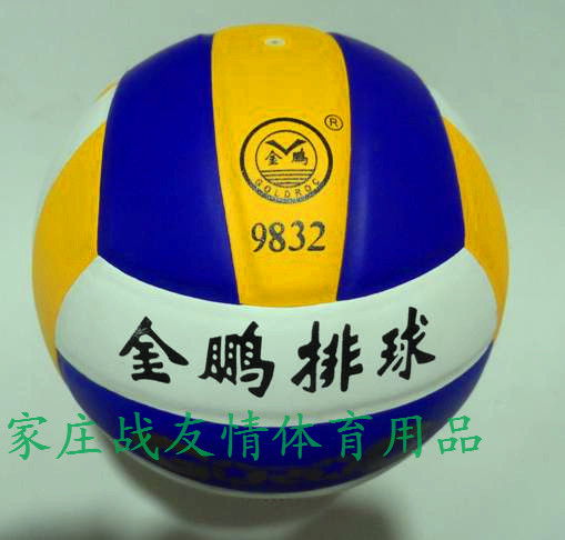 Ballon de volley-ball - Ref 2012552 Image 1