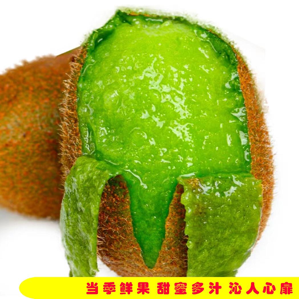 现摘现发周至翠香猕猴桃果园直发