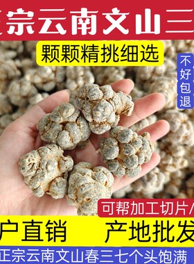 云南文山三七精品20头30头40头60头野生田七片中药材37粉精选500g