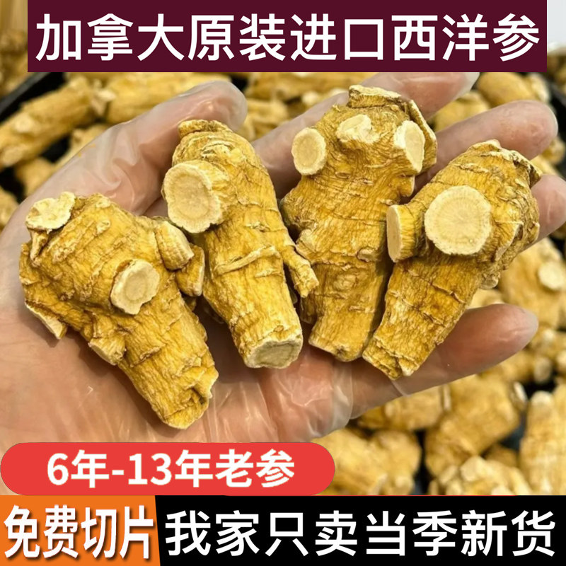 正品加拿大进口西洋参老参粒头500g整枝正品美国花旗参代切片磨粉