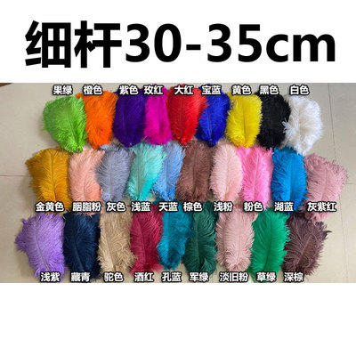 配饰鸵鸟毛凤羽家饰天然羽毛