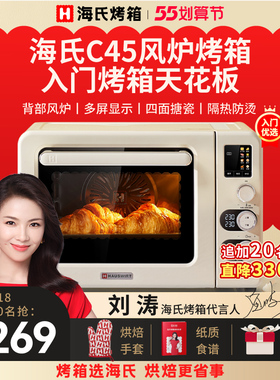 Hauswirt/海氏 C45-1