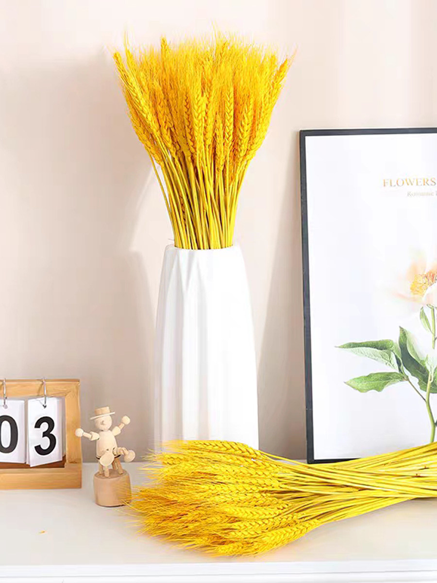 天然黄金麦穗干花大麦花束新年客厅装饰小麦送礼插花摆件开业乔迁