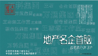 正版 地产名企首脑战略执行讲习所 14VCD  房地产 培训光盘 - 封面