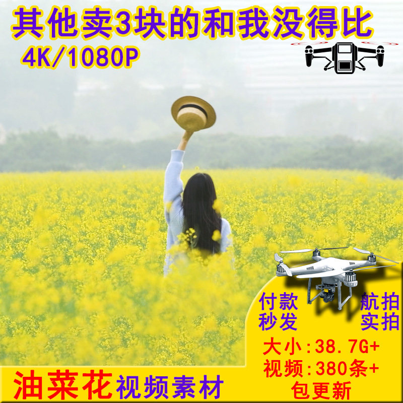 4k高清春天油菜花航拍实拍短视频素材源文件江西婺源门源油菜花田