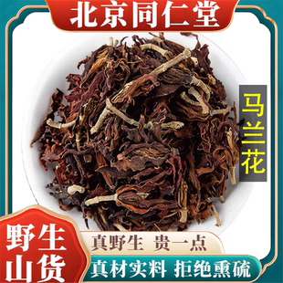 北京同仁堂精选特级马兰花中药材煮水无添加无硫包邮正品原料100g