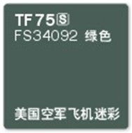 天使模型漆  模型涂料  TF-75  FS34092 绿色