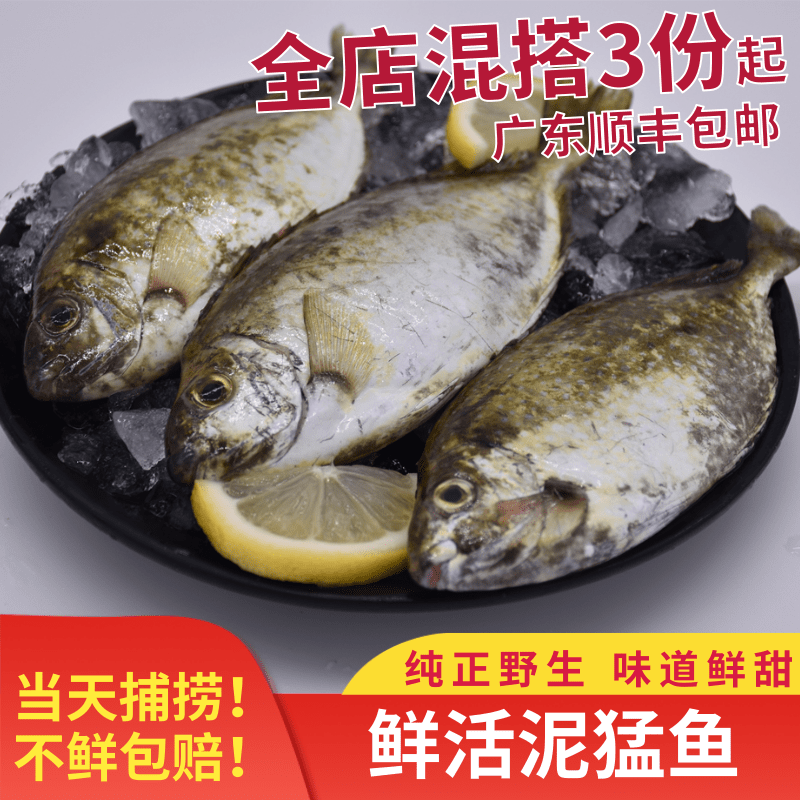 【当日捕捞】新鲜泥猛鱼 阳江海鲜特产水产篮子鱼臭肚鱼娘艾鱼1斤