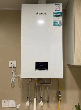 18/24/2836kw原装进口壁挂炉