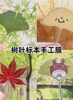 树叶标本塑封膜冷裱膜6寸A4A6手工自粘相片纸照片植物书签冷表膜