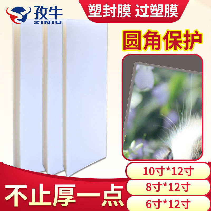 毕业照塑封膜8*12寸集体照6*12过塑膜8X10X16X18团