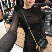 欧货2025薄款 t恤ins潮 微透网纱冰丝百搭女上衣长袖 修身 显瘦打底衫