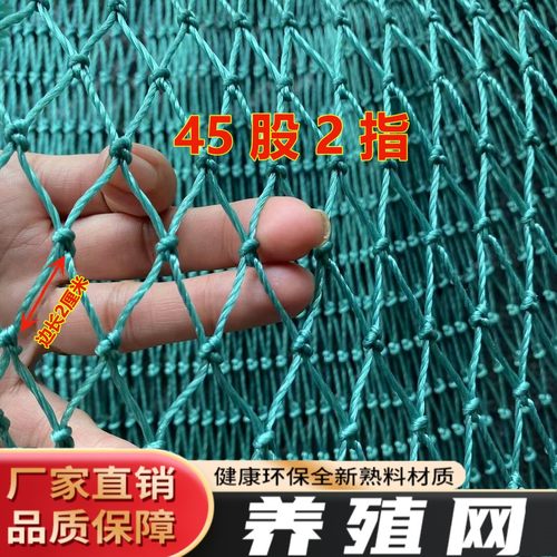 定制1指2指网片网箱养鸡网隔断网养殖网爬藤网池塘防鸟网防护网