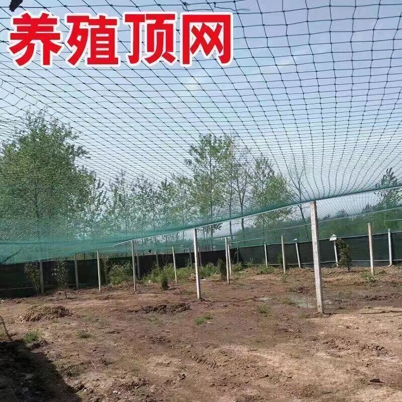 果园鱼塘防鸟网防护网
