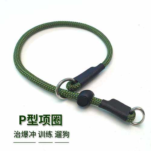狗狗P链项圈防爆冲不夹毛不褪色
