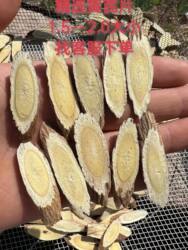 子洲十年优质特级野生黄芪出口级标准100克包邮