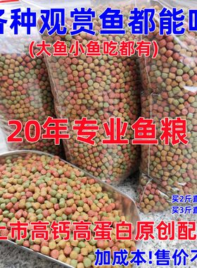 鱼粮高营养万兴通吃福建观赏鱼食