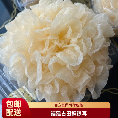 辰颐物语古田新鲜银耳雪耳莲子羹