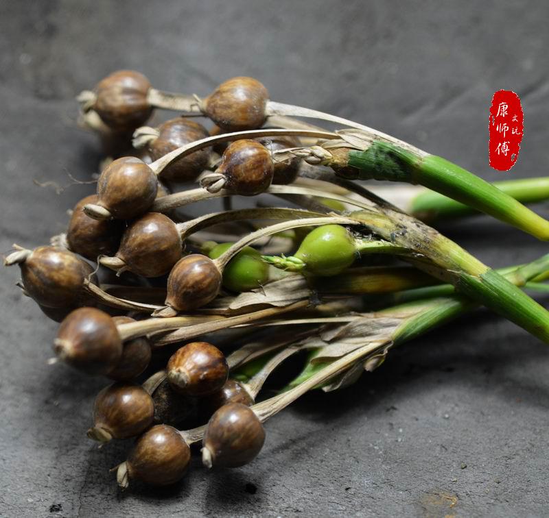 草珠子种 子原料按斤门帘原料枕芯填充料佛珠原料按斤发货108佛珠