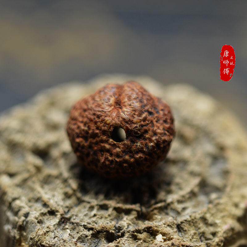 蟾宝菩提星月菩提原料菩提根紫金钵盂柏香籽菩提佛珠印度小叶紫檀