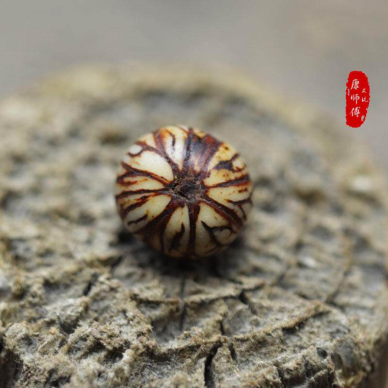 打磨银线菩提 金线菩提 佛珠手串  满贯菩提 热振柏香籽 橄榄核雕