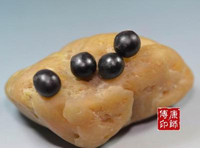 喜寿菩提子  无患菩提 五线子 仙桃 犀耳菩提 木鱼果 木槵子 天眼