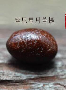 摩尼星月菩提 摩尼籽 星月菩提原料 金刚菩提 紫金钵盂菩提 凤眼