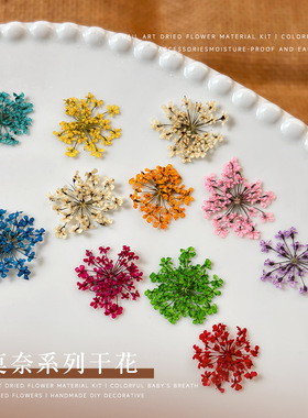 24朵干花美甲饰品春日碎花油画