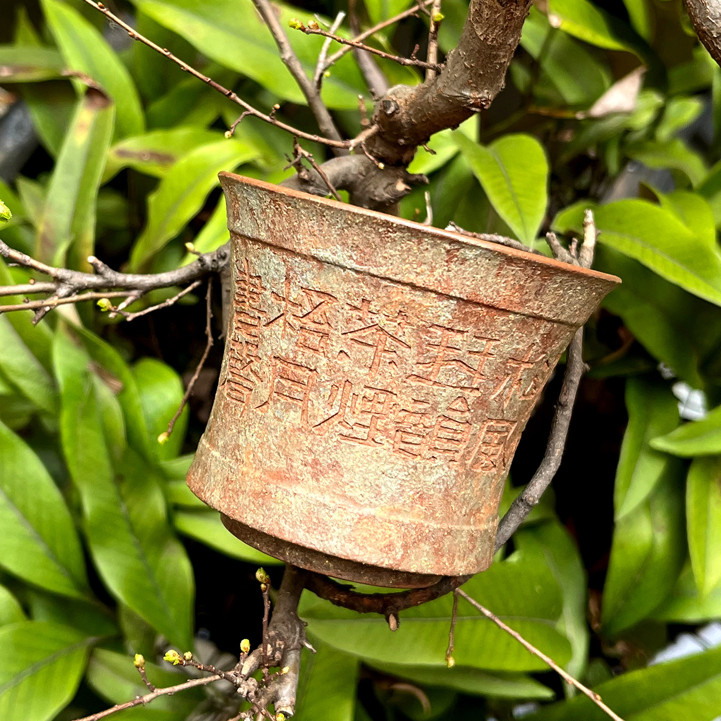 宜兴紫砂主人杯原矿老段泥青铜器泥绘杯纯全手工刻绘品茗杯 单杯