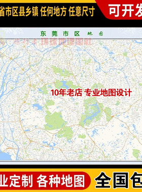 超大巨幅 东莞市区地图订制定做 城市城区海报2025新版装饰画街道