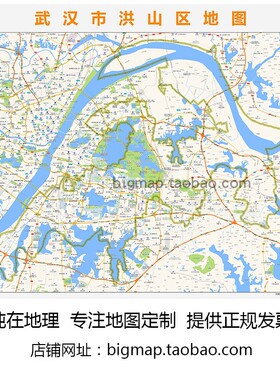 武汉市洪山区地图 路线定制2025城市街道区域划分贴图
