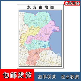 东营市地图墙贴年山东省高清彩色图片素材卫星