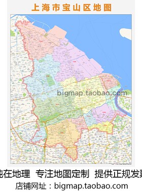 SHANGHAI宝山区行政区划地图2025版 定制企事业公司街道贴图