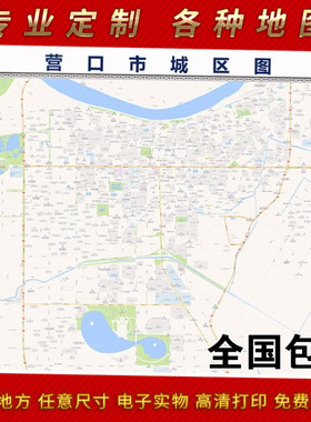 2025年营口市地图贴图 办公室街道 墙壁装饰画定制地图地形