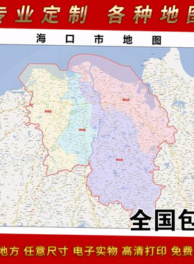 2025年海口市地图贴图 办公室街道 墙壁装饰画定制地图卫星